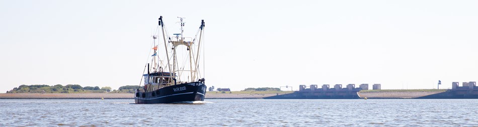 Garnalenboot WR212 waarmee de Hollande garnalen gevangen worden